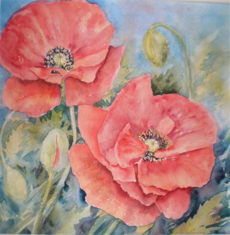 2008 More Red Poppies Watercolour
